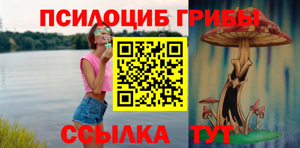 Стерлитамак  Псилоцибиновые грибы Cubensis  Вход с VPN  Псилоцибиновые грибы мухоморы 