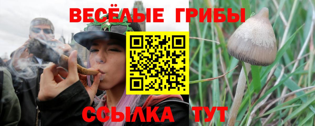 Галлюциногенные грибы Psilocybine cubensis Стерлитамак