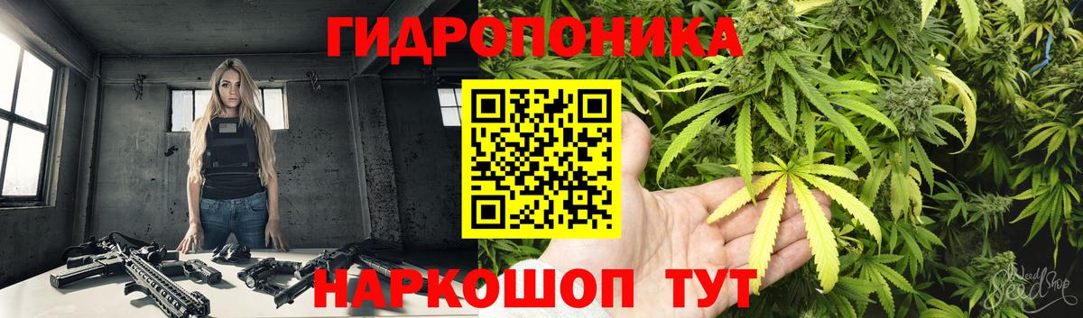 Конопля гибрид Стерлитамак